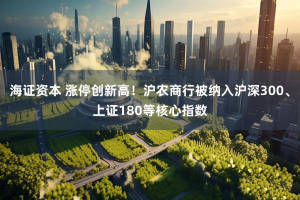 海证资本 涨停创新高！沪农商行被纳入沪深300、上证180等核心指数