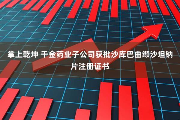 掌上乾坤 千金药业子公司获批沙库巴曲缬沙坦钠片注册证书
