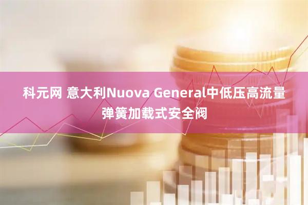 科元网 意大利Nuova General中低压高流量弹簧加载式安全阀